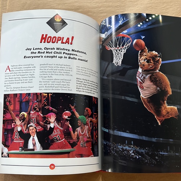 Chicago Bulls RAGING BULLS! NBA CHAMPS RECORD 72 Victoriies - Picture 9 of 10